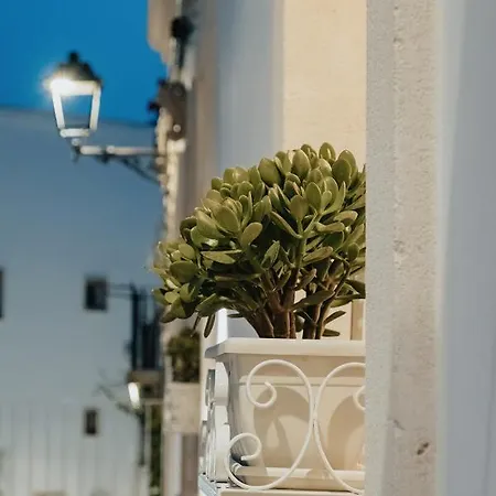 Le Maioliche - Apulian Bed & Breakfast *